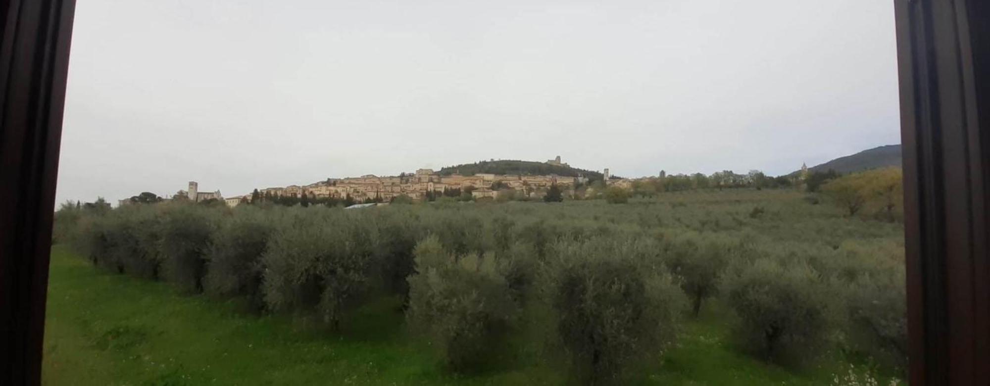 Appartamenti Cardinali Assisi Exteriör bild